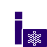 festa